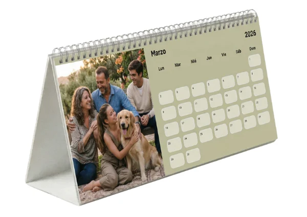 01KMK81WY0W75QPQK7W4K029H3